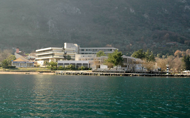 Исцелитељска снага руже ветрова